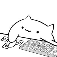 cat